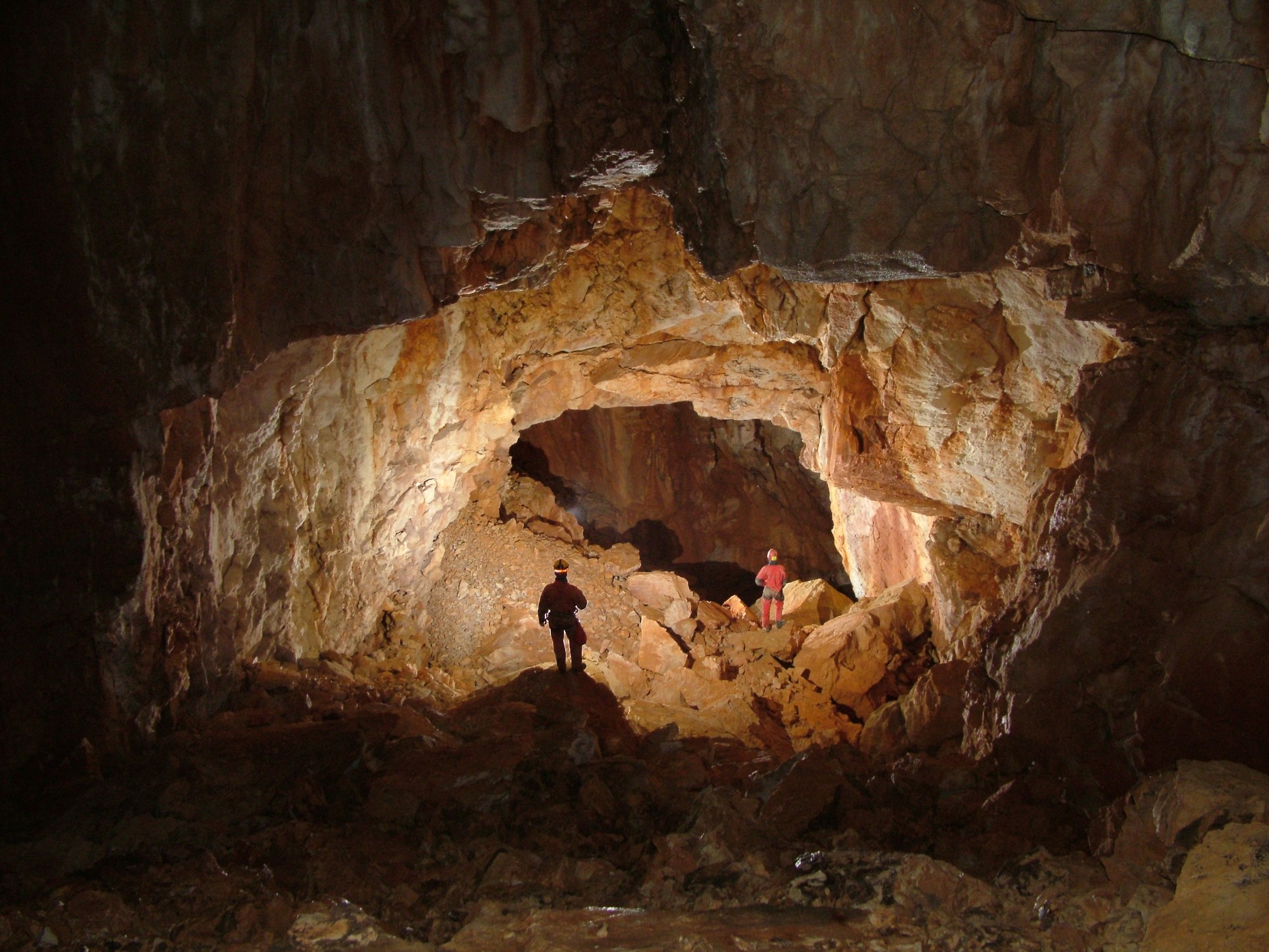 Kétlyukú: Ősfosszil