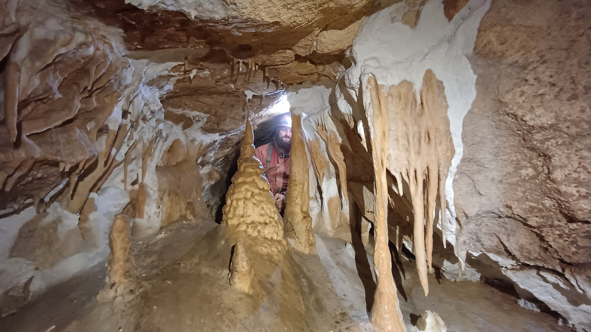 Alsó rész mellékága