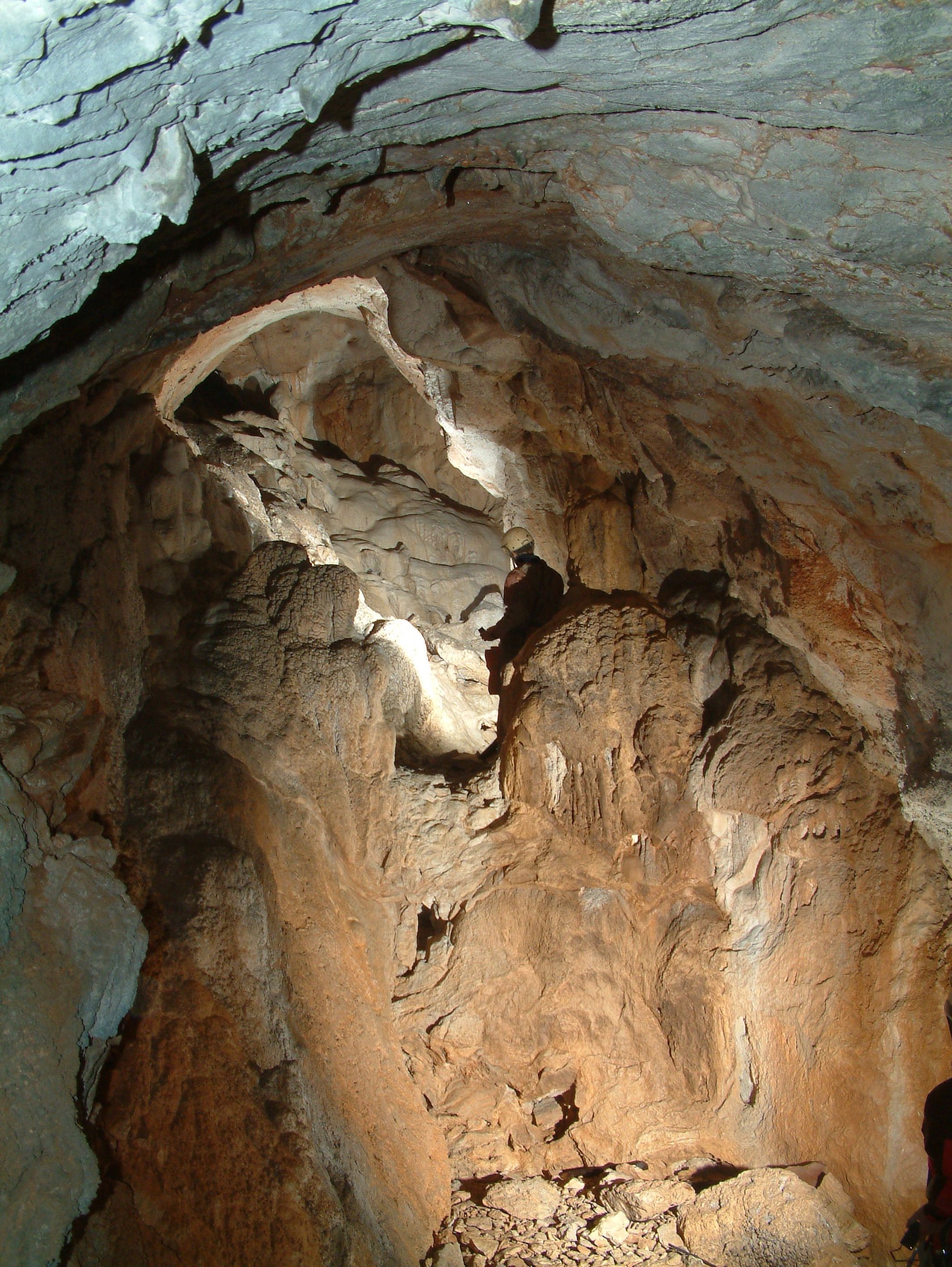 Felső rész mellékága