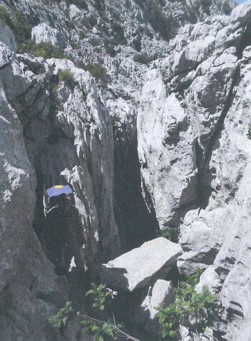 Kereszthasadék-zsomboly