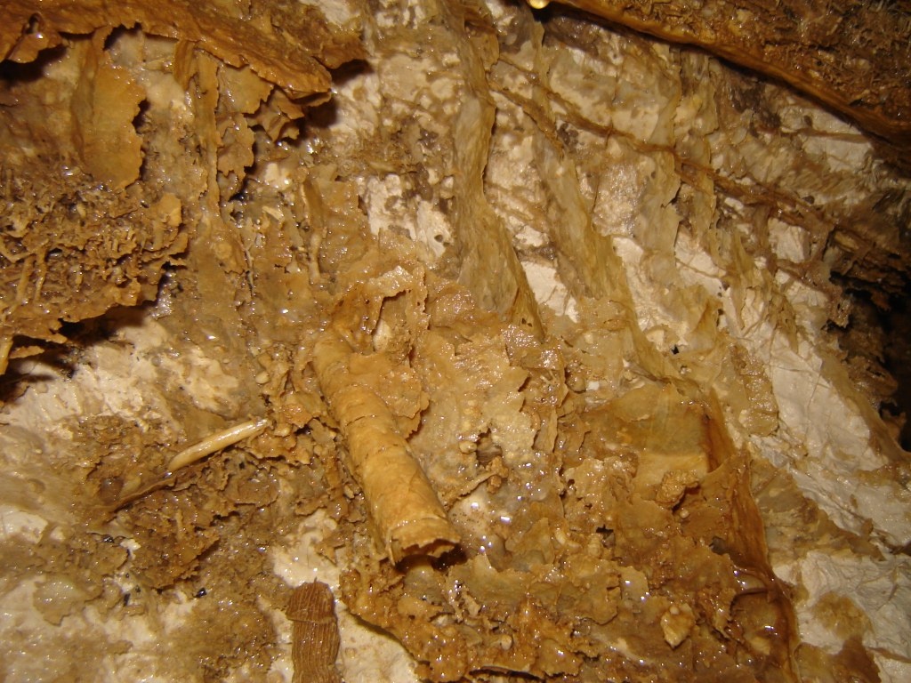 Csőféreg és boxwork