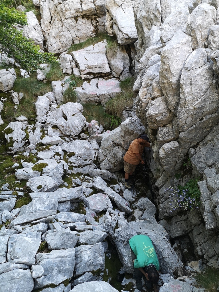 Harangvirág-barlang