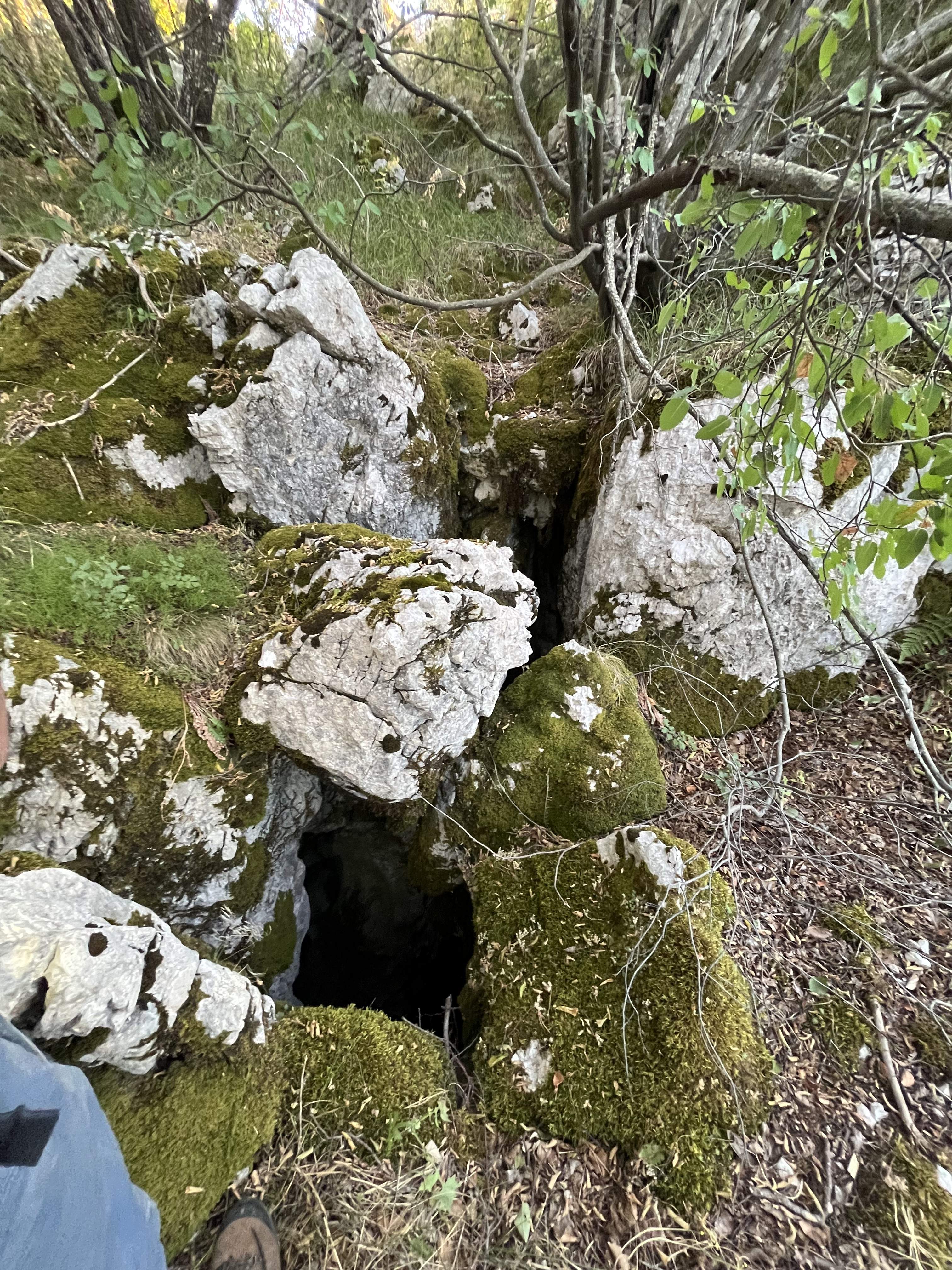 Békülési szándék