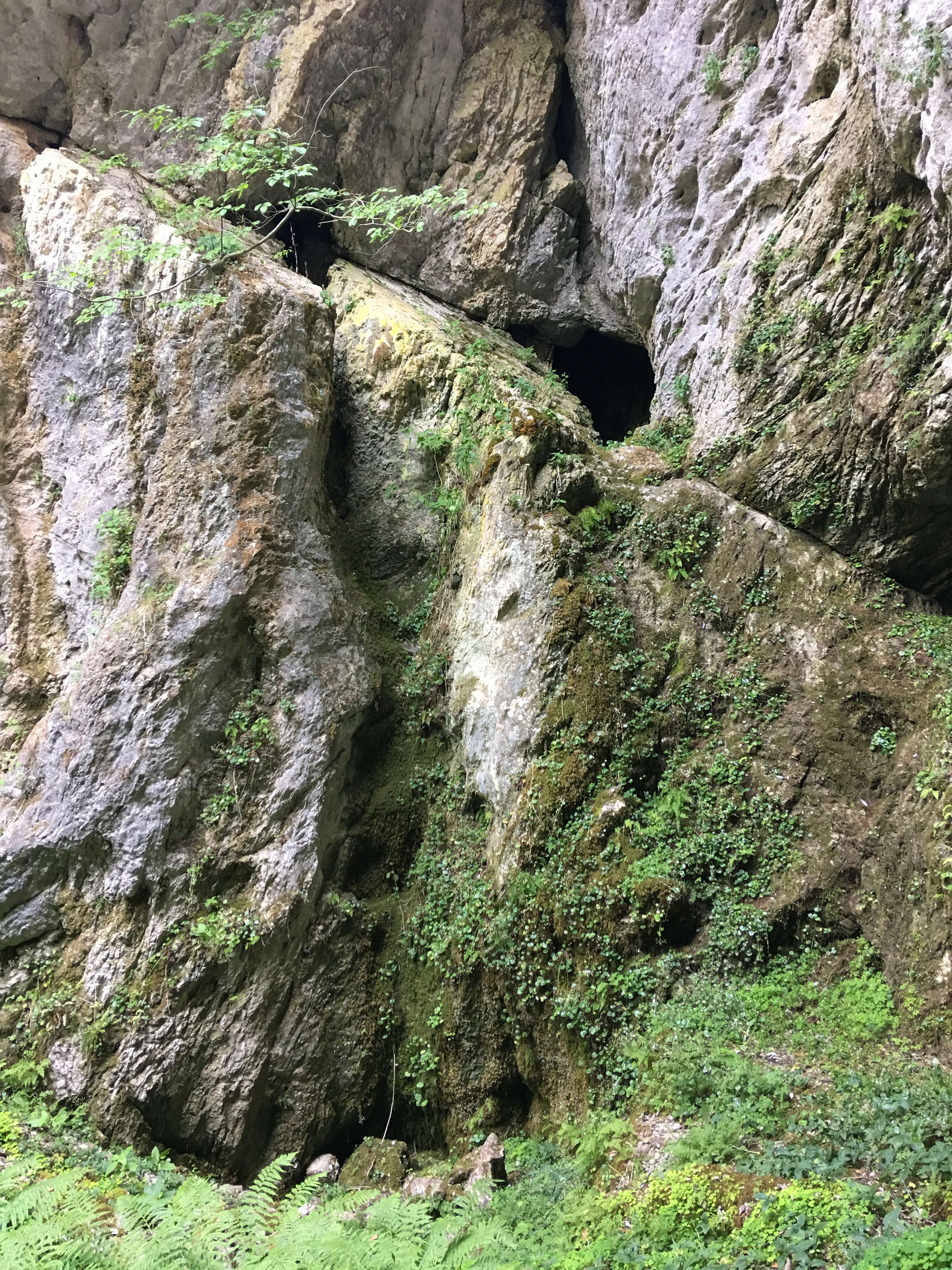 Dóm (Yoda mester-barlangja)