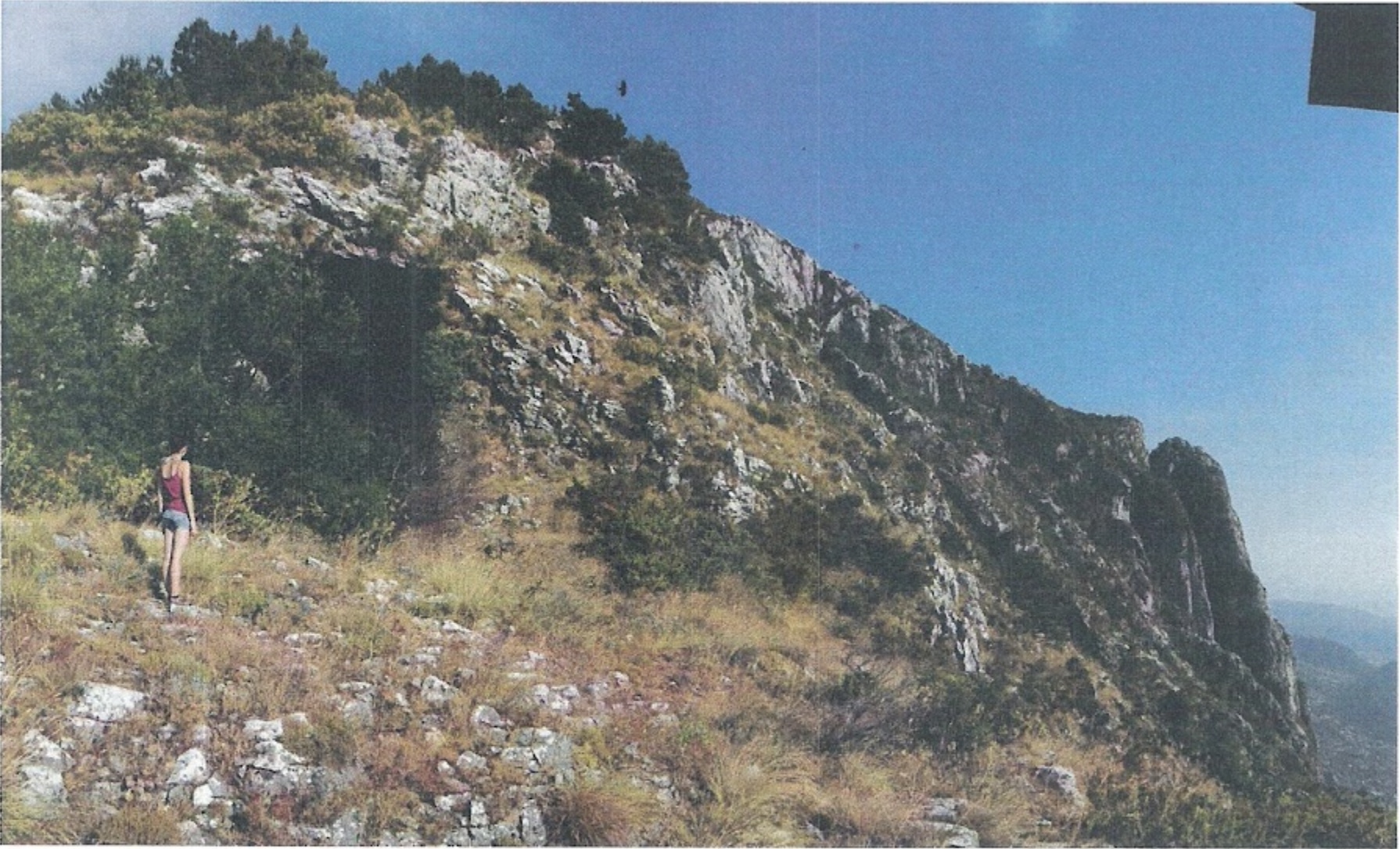 Peć