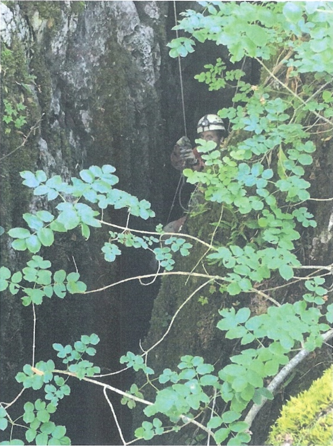 Ploče alatti hasadékakna