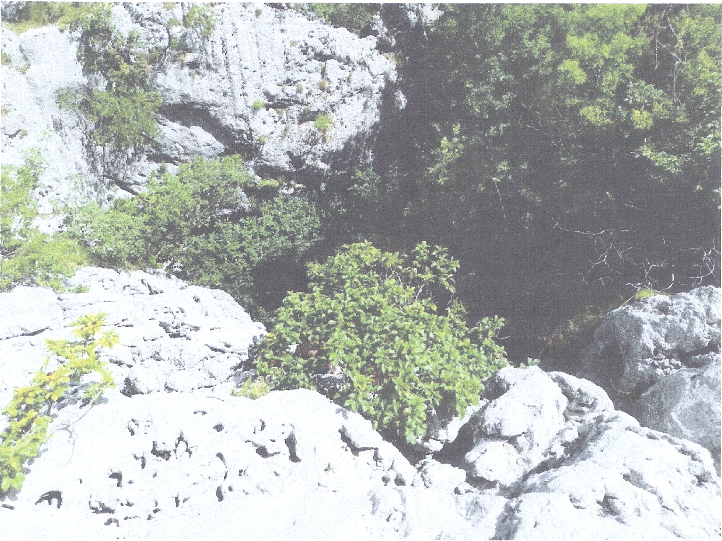 Névtelen meanderes barlang