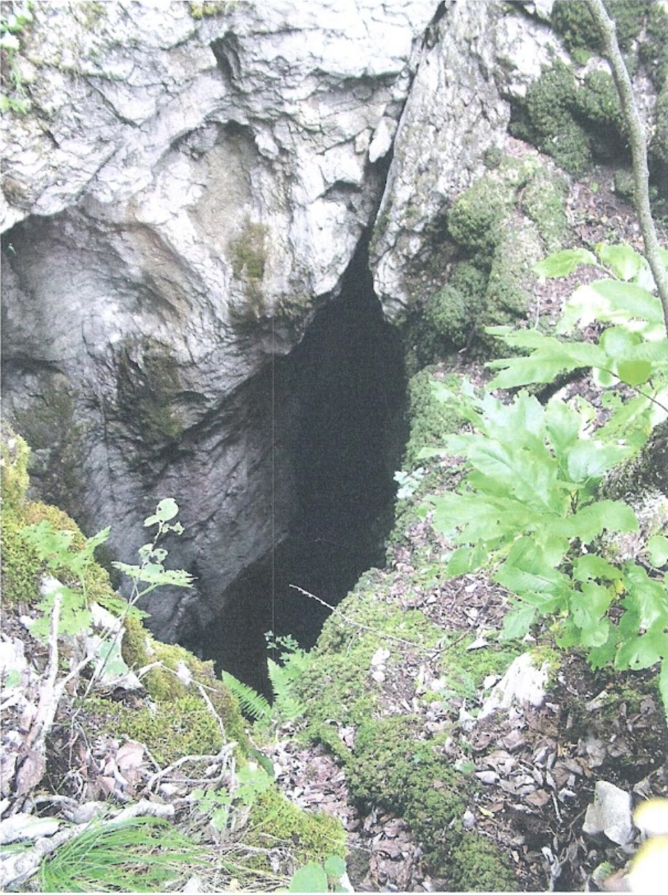 Tatinac "Jeges"-akna