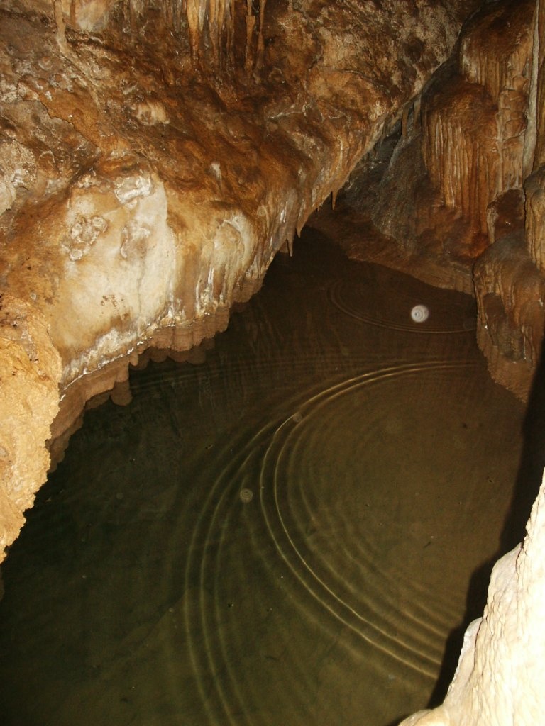 Tavacska
