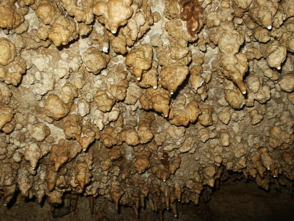 Gumós képződmények