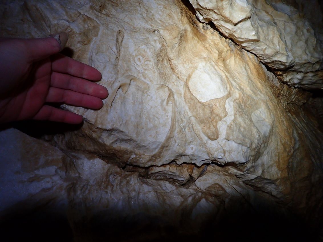 Kipreparálódott kövületek