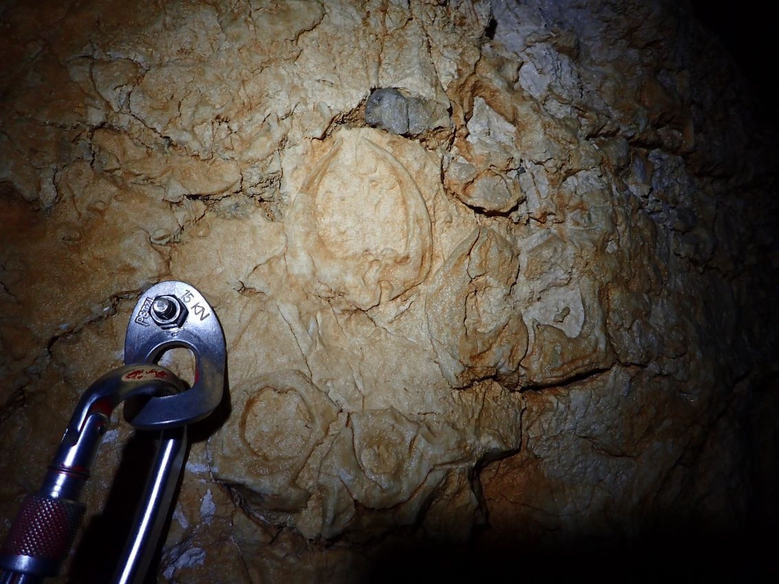 Kipreparálódott kövületek