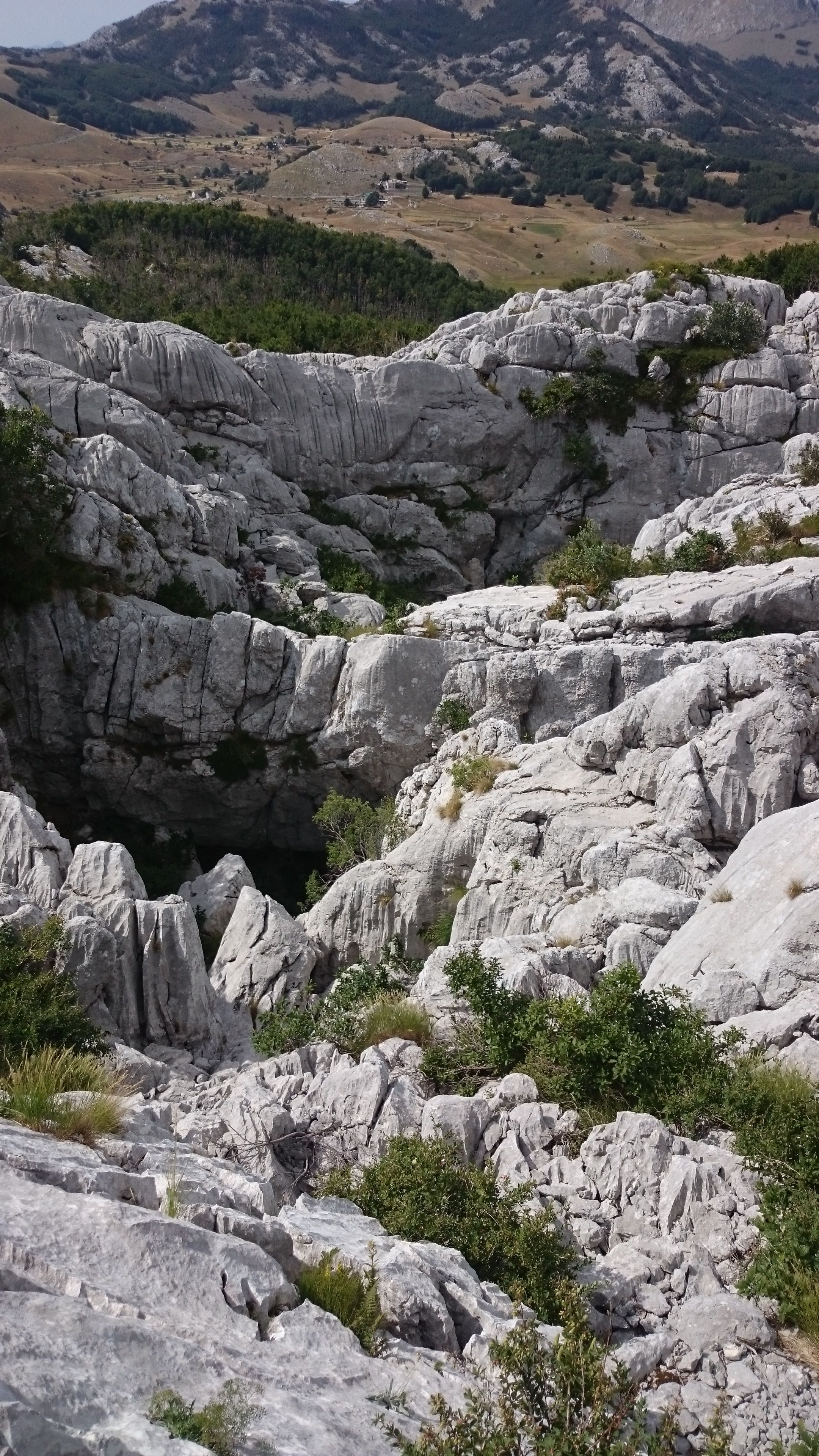 Környezet
