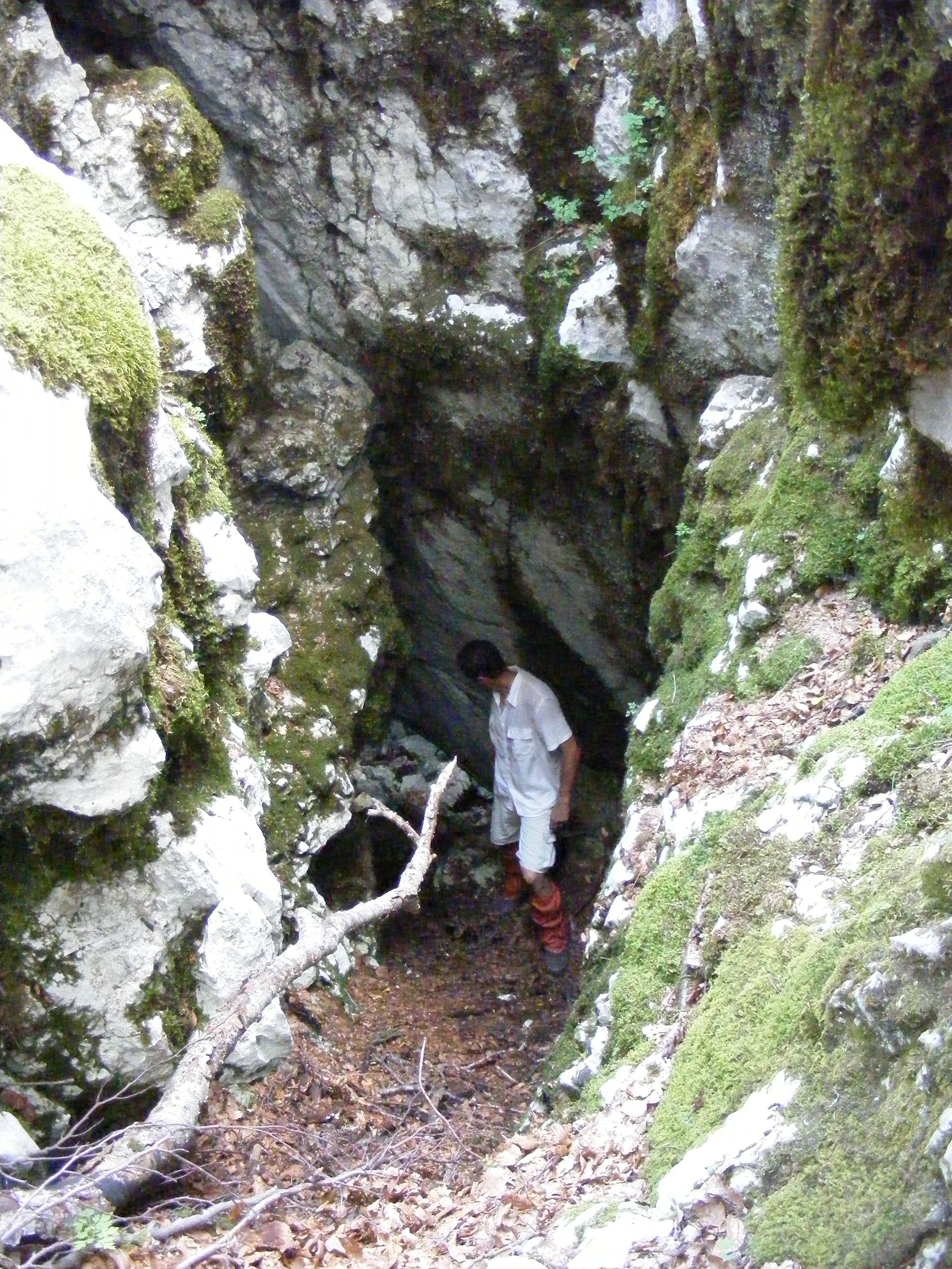 Felejthető
