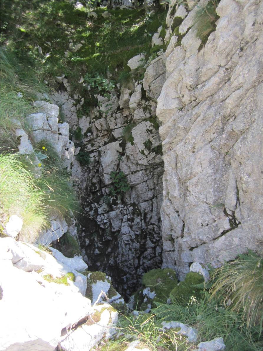 C1