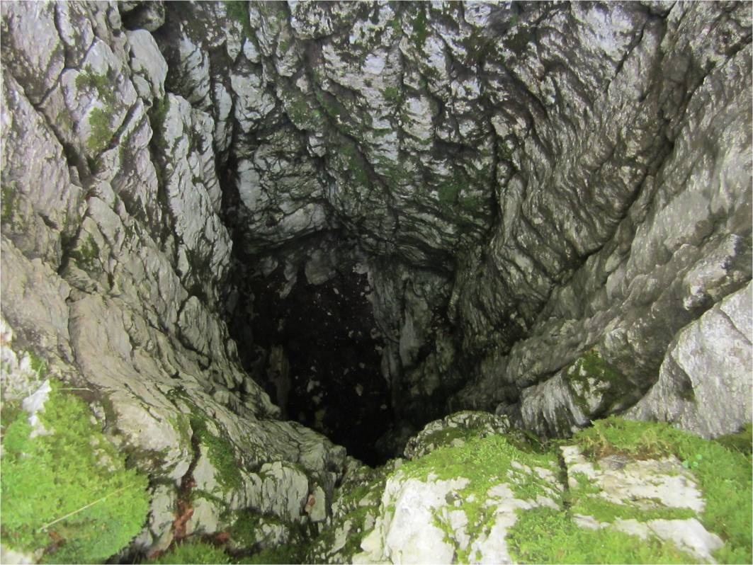 C1