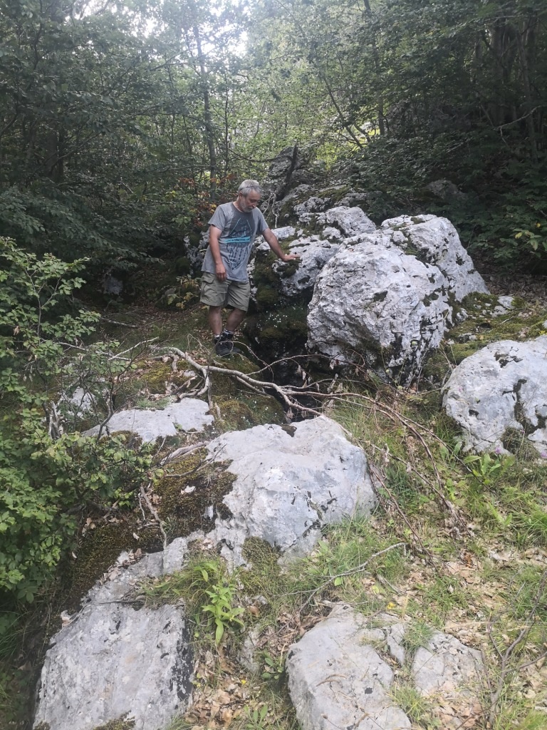 A környezet