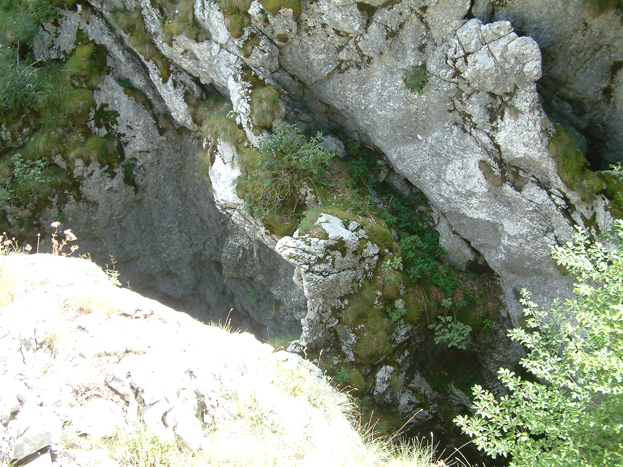 Štirovnik 5
