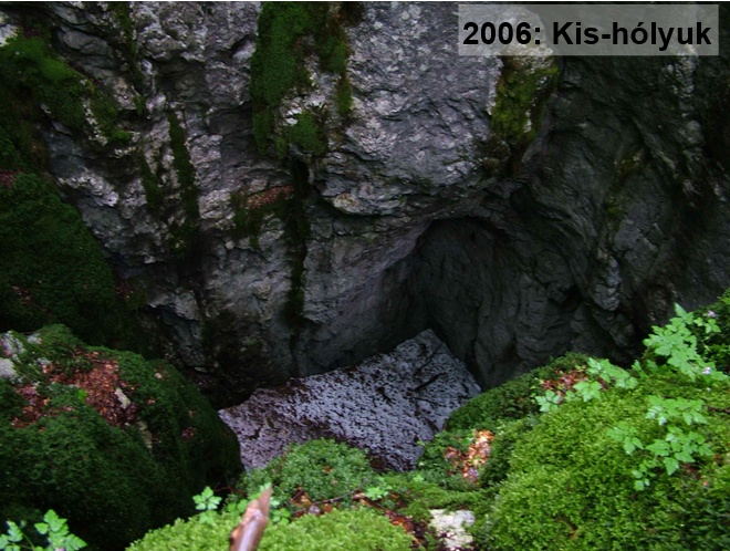 Hólik