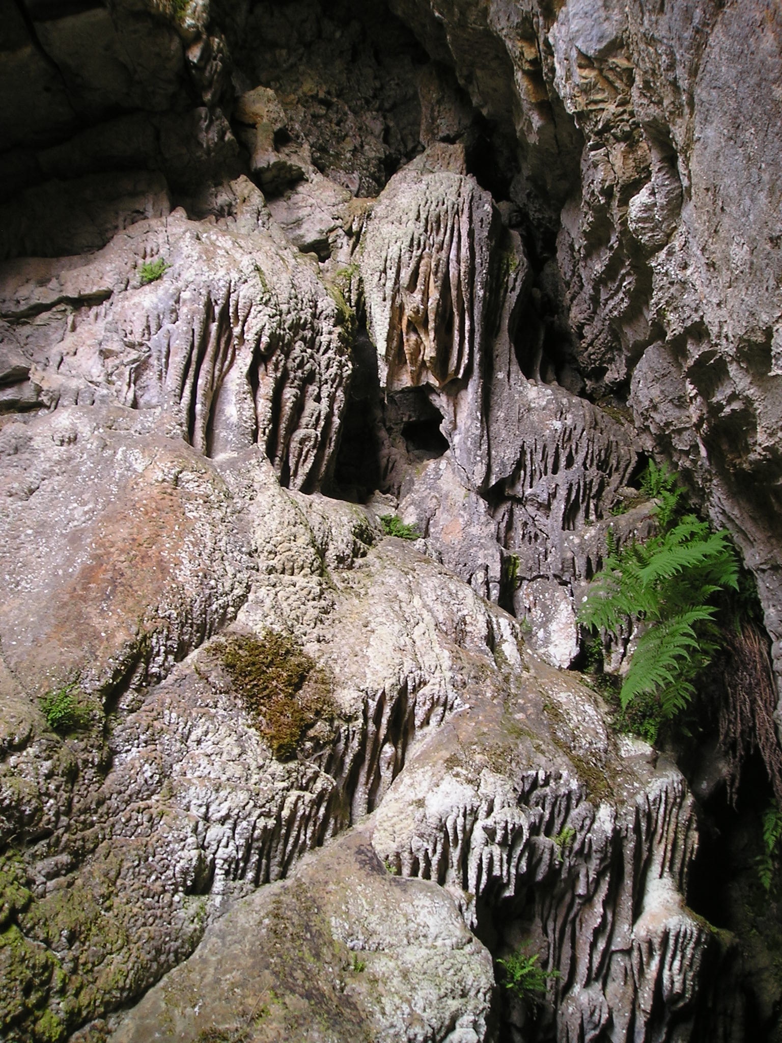 Szenilis cseppkőlefolyás