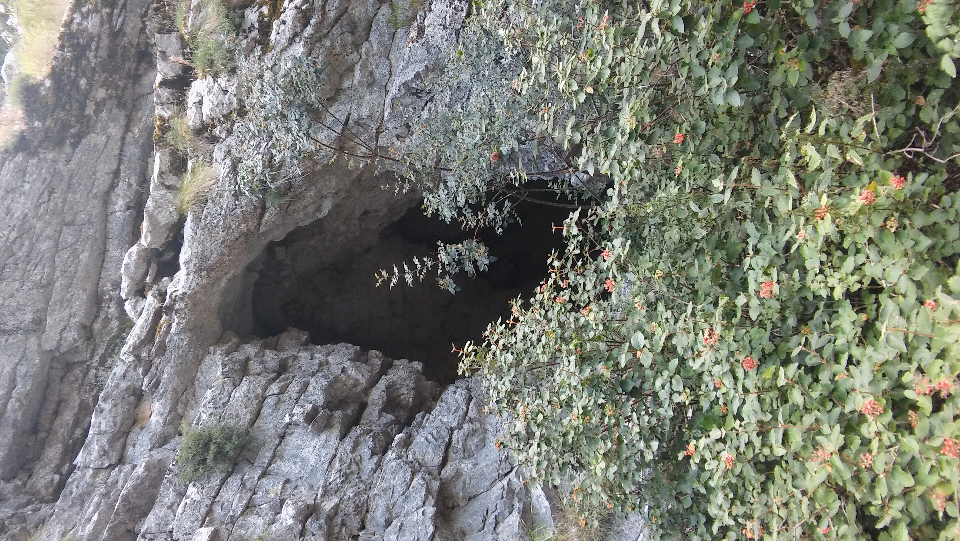 Jelenések-barlangja = Božidar (=kod Bizaljevac az előzetes műholdképen)
