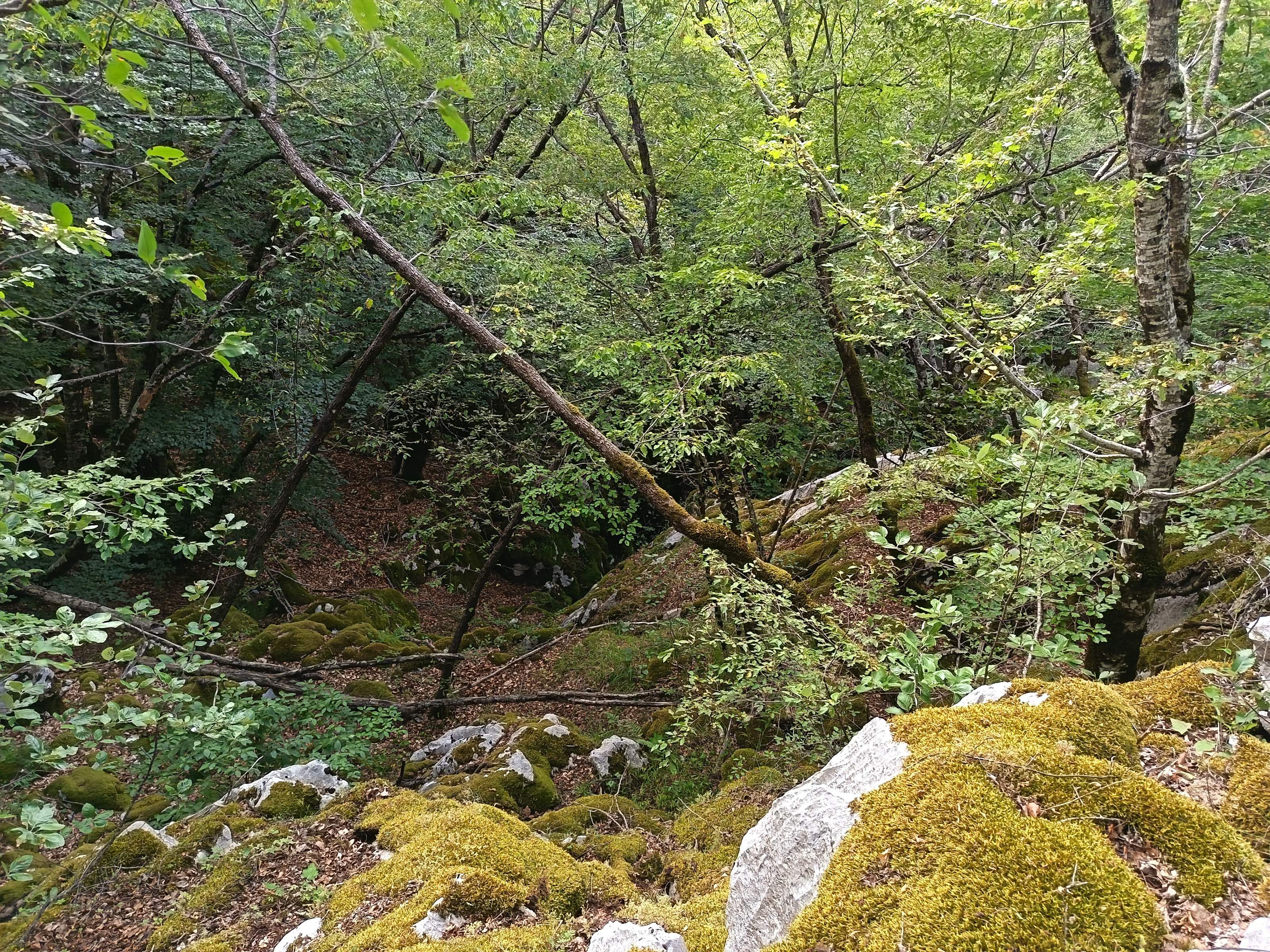Háromaknás-töbör barlangjai