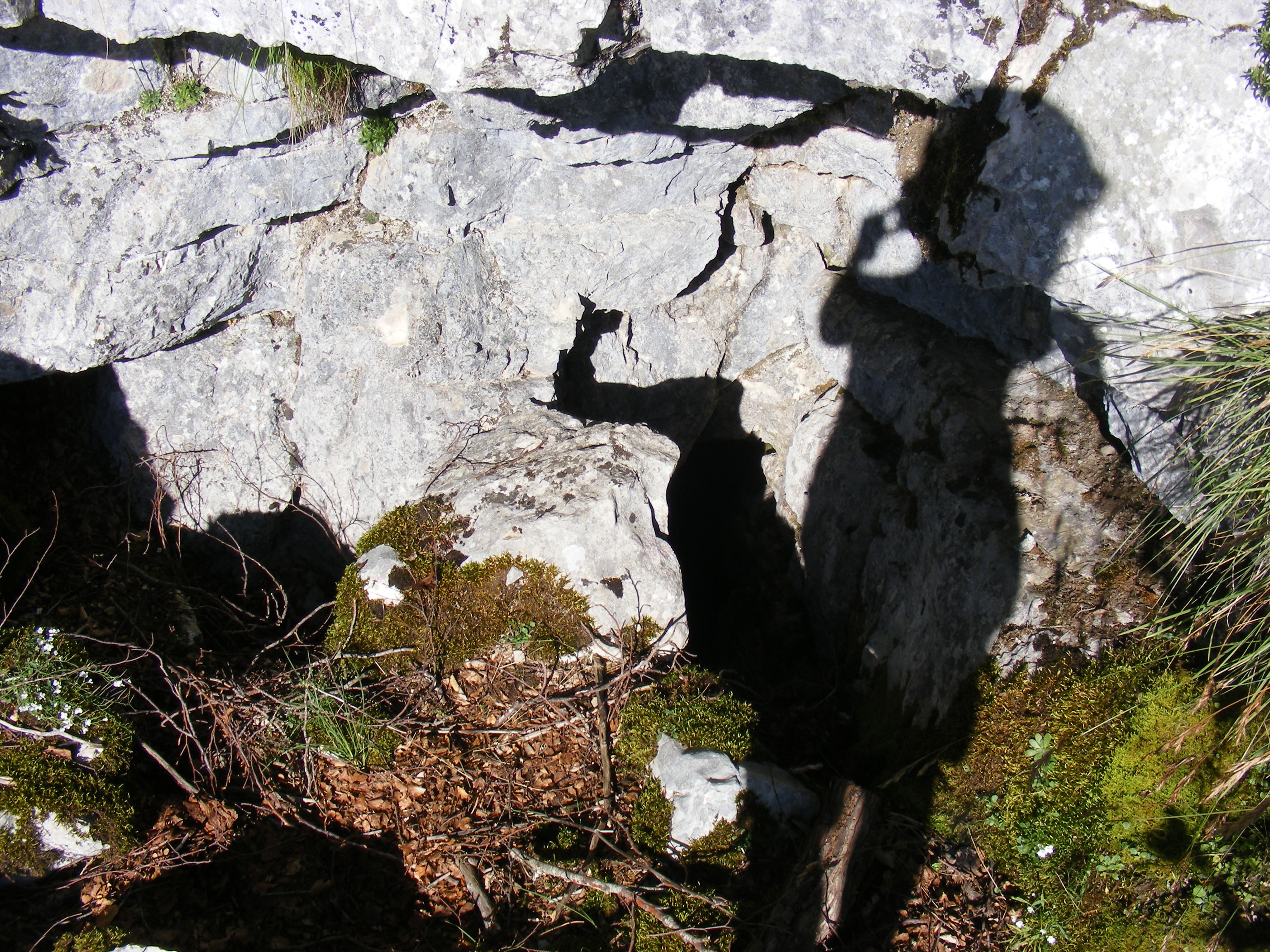 Hideglelős-barlang