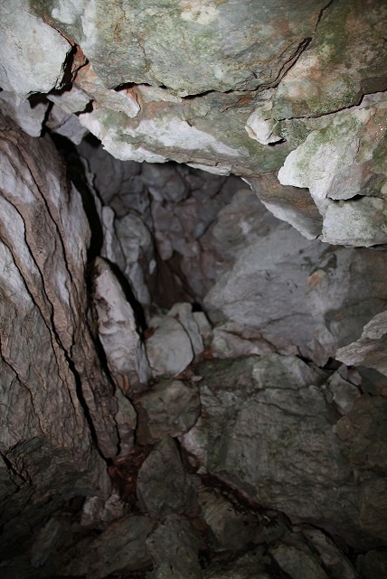 Végomladék